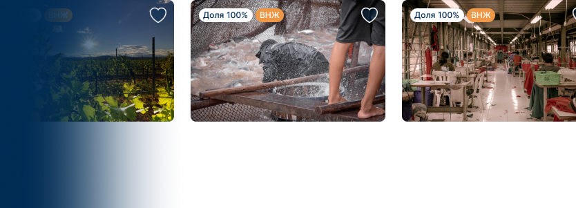 Пример объявлений